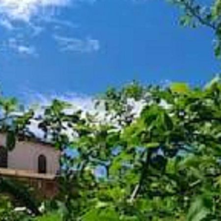 Il Gelsomino Home Holiday Alcamo Zewnętrze zdjęcie