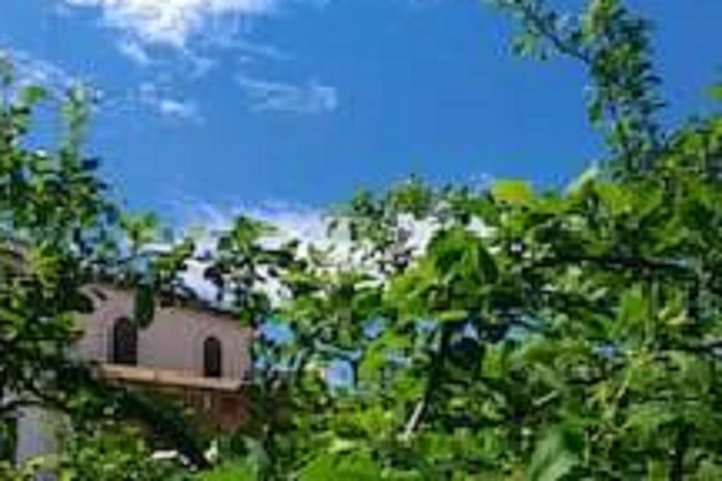 Il Gelsomino Home Holiday Alcamo Zewnętrze zdjęcie